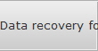 Data recovery for Fort Wayne data